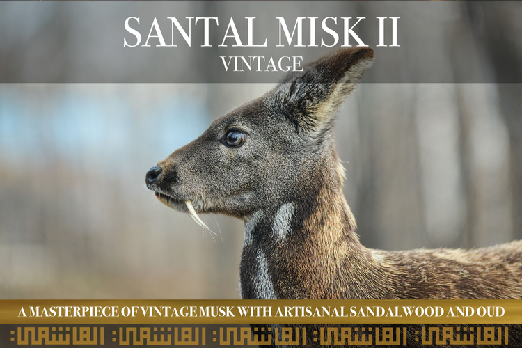 SANTALMISK II